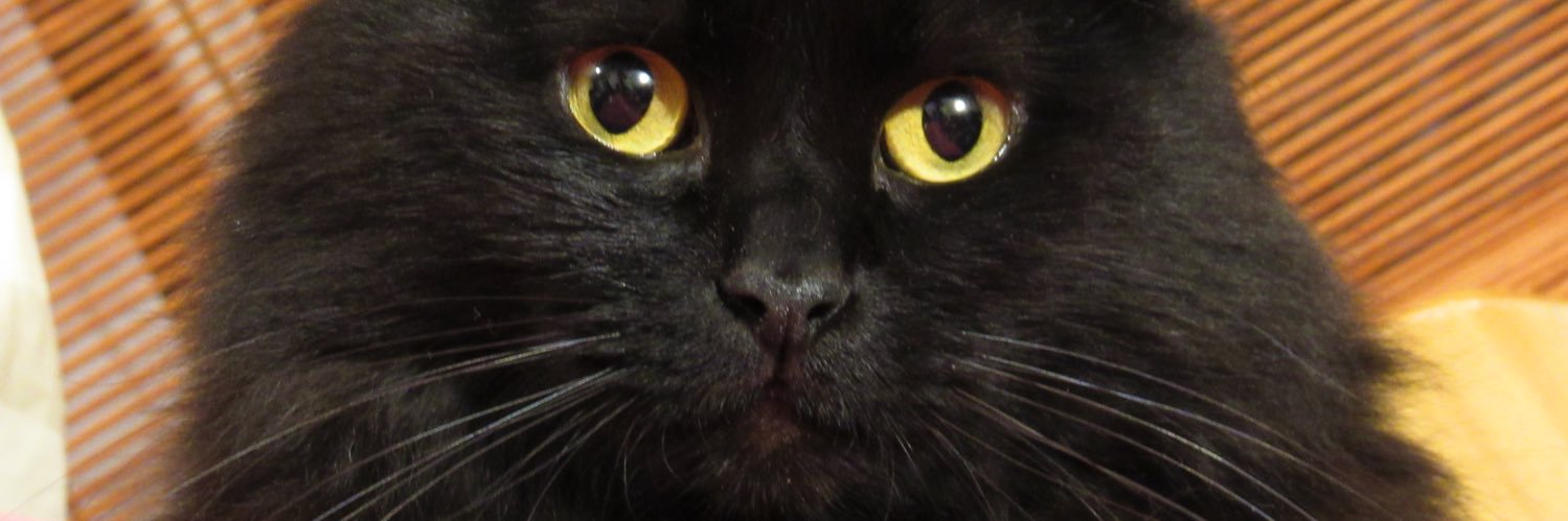 deprendogena's profile banner image