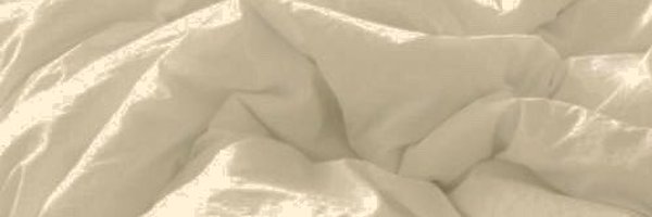 Stephabues Profile Banner