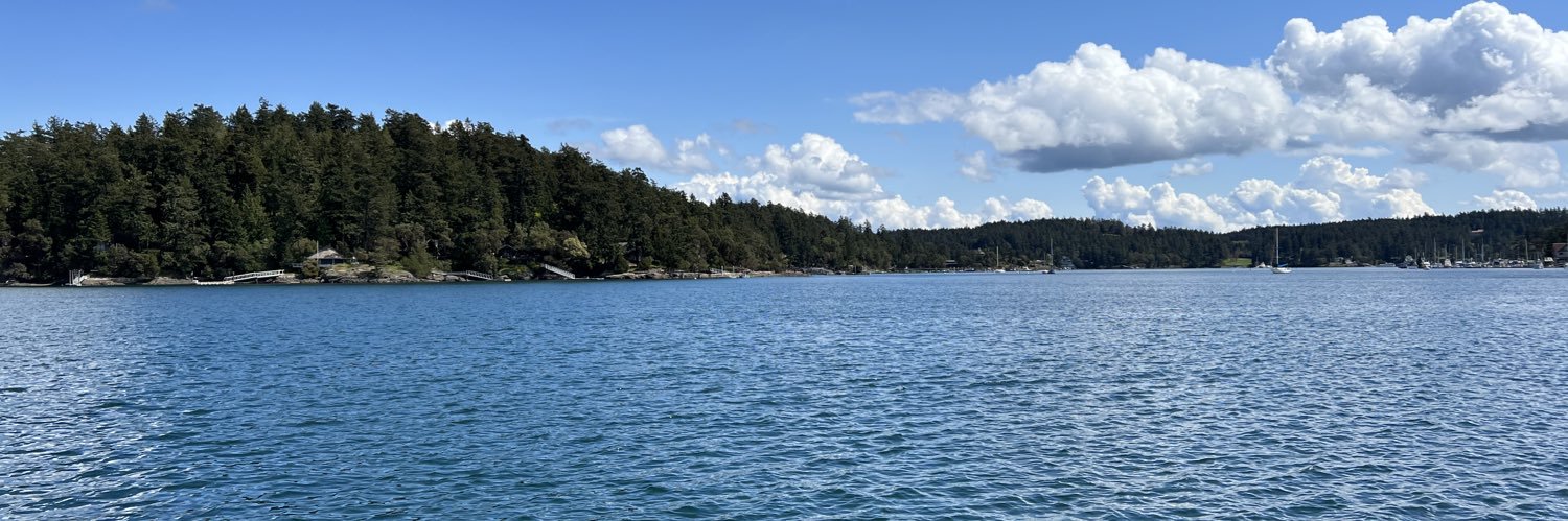 Melissa Schwartz banner