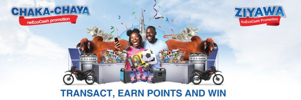 EcoCashZW Profile Banner