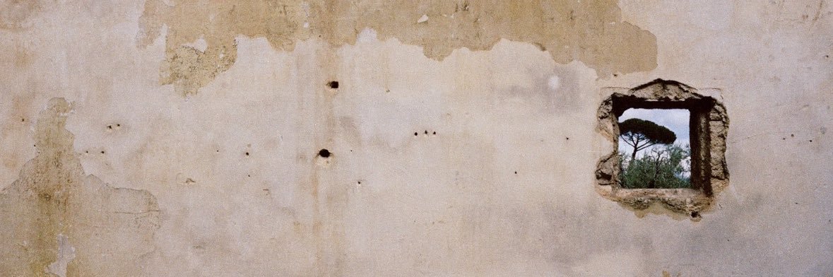 seval1150's profile banner image