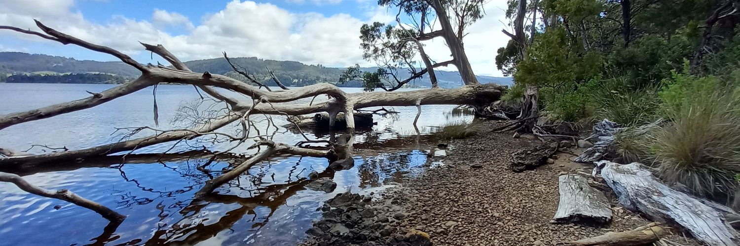Alexander Burton banner