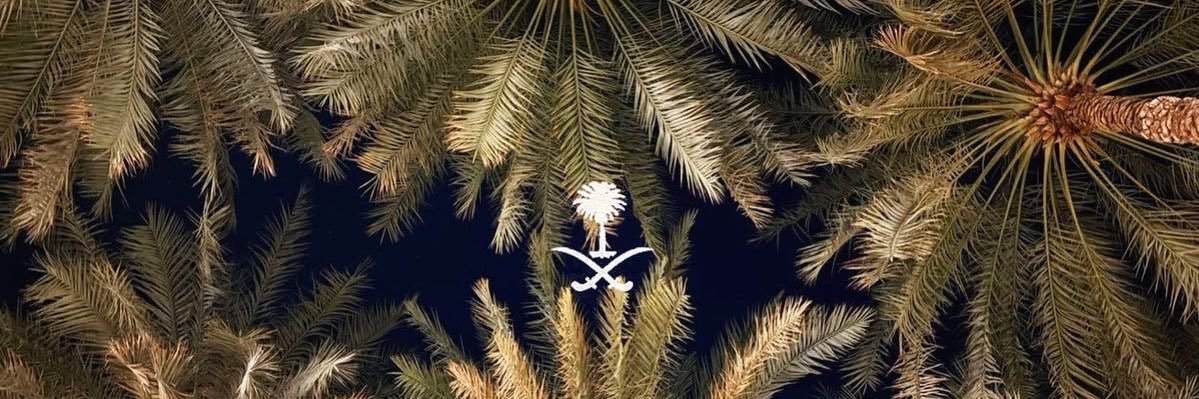 ibydana's profile banner image