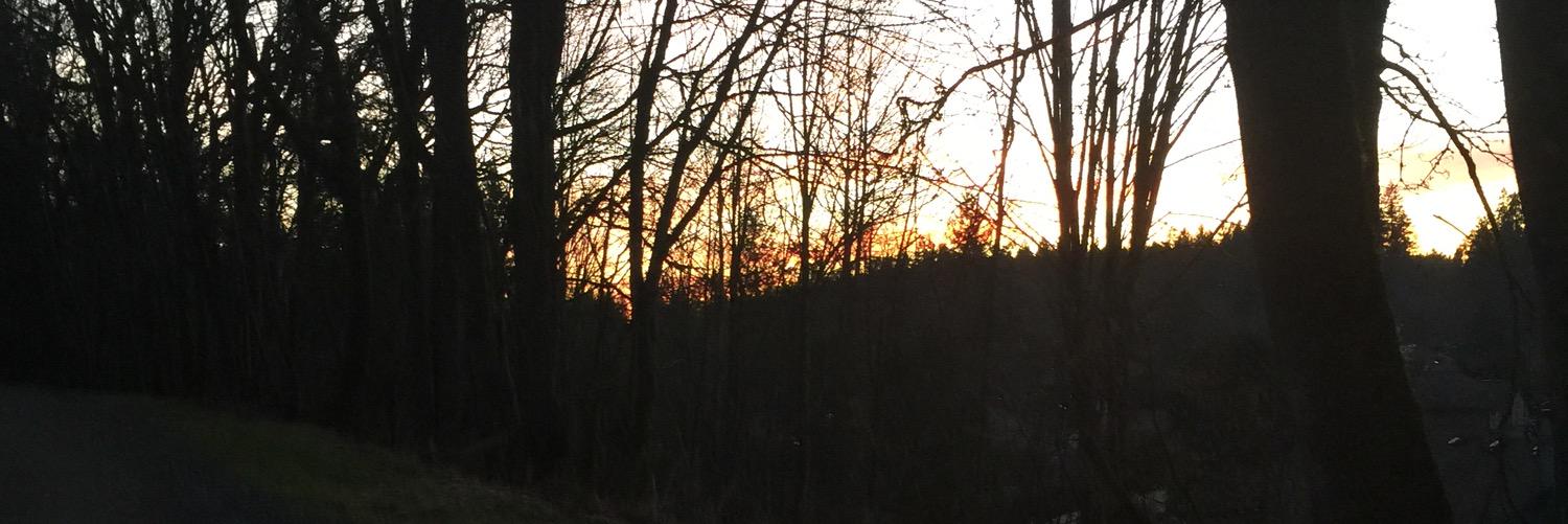 TaishaFizzy's profile banner image