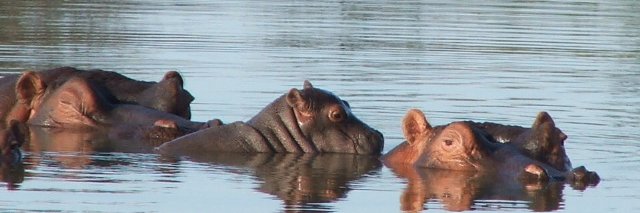 DitholoLodge's profile banner image
