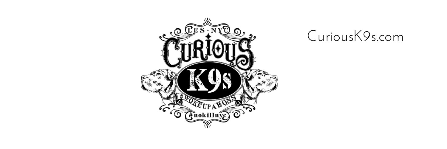 karencurious's profile banner image