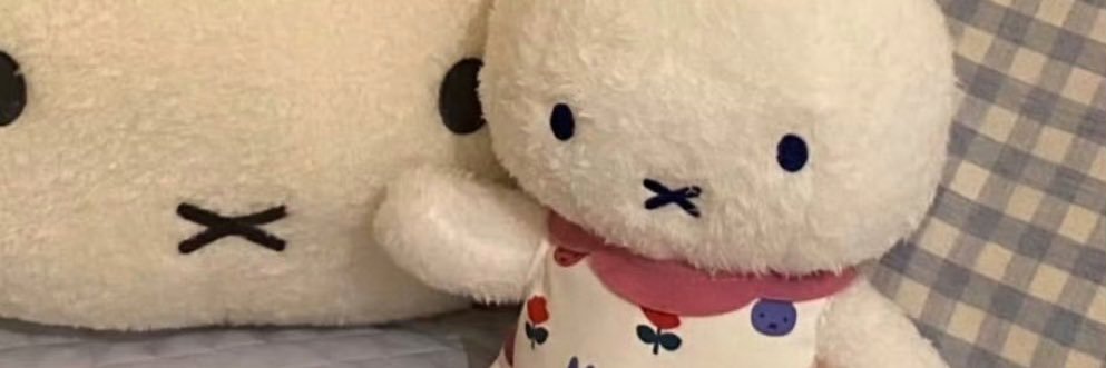 律's banner