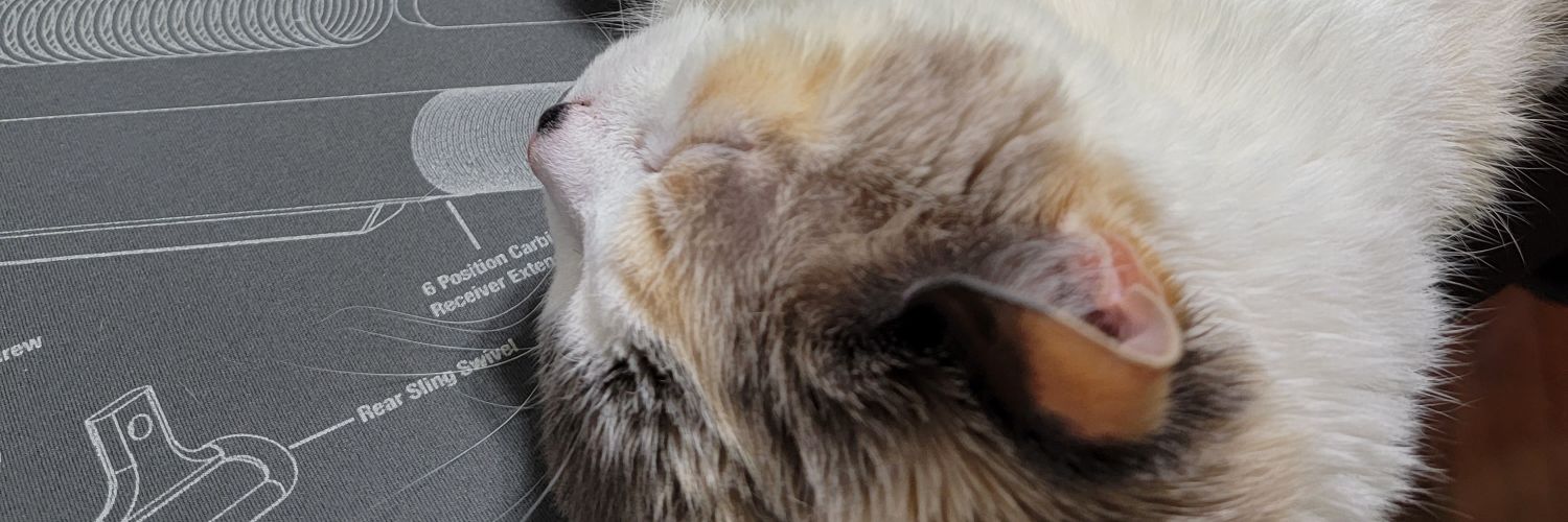 SqueakinBy banner