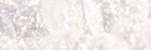 🪽 banner