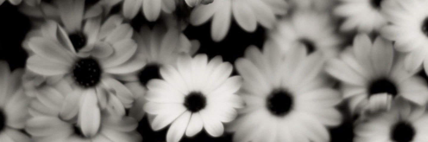 ev_v_'s profile banner image