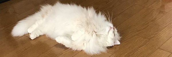 eshiro0712 Profile Banner