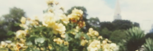 Lnq127 Profile Banner