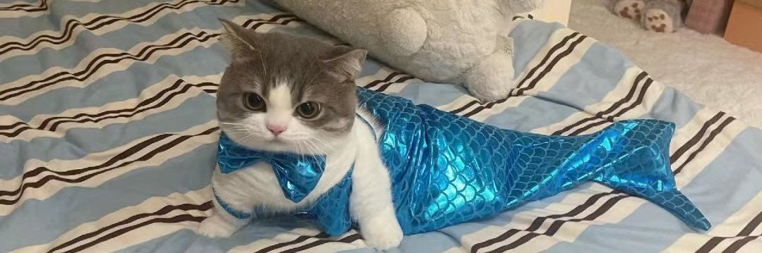😽 banner
