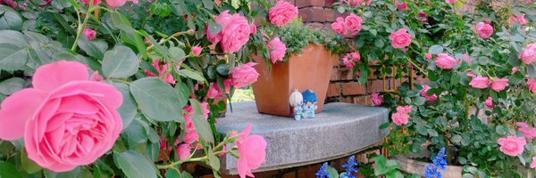 suumo_su Profile Banner