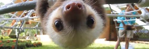 evansjohnstons's profile banner image