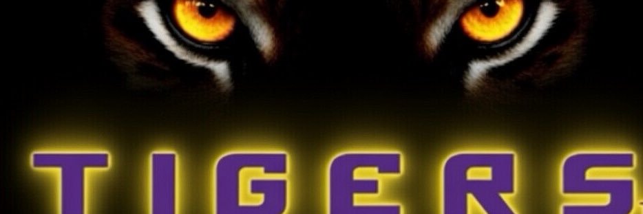 Deion Holloman banner