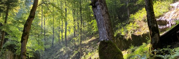 HerrFunk Profile Banner