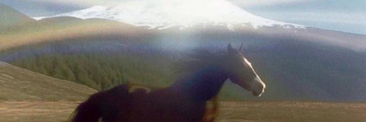 gudawg's profile banner image