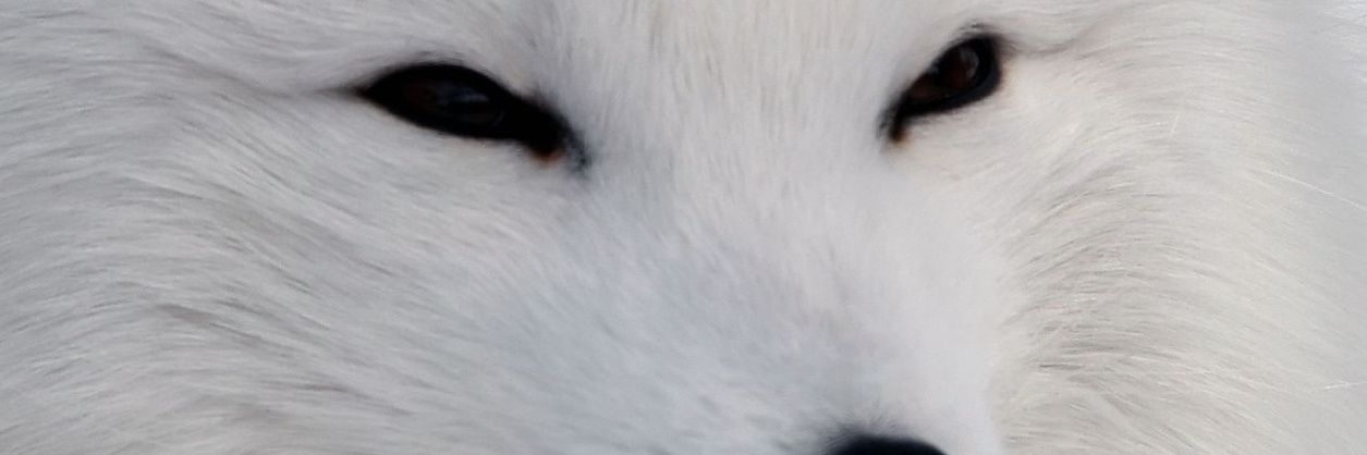 E2e2_inspr's profile banner image