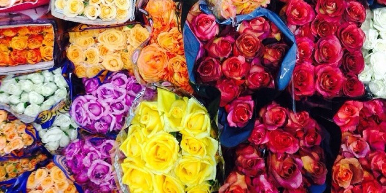 annagram42's profile banner image
