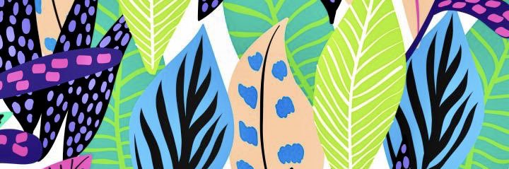 tinylilflower's profile banner image