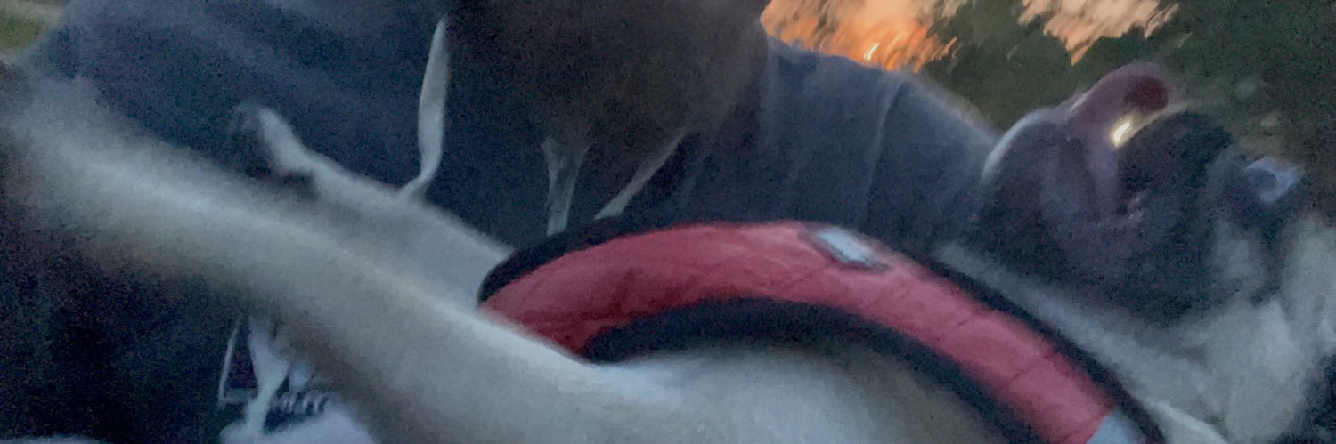 sharpcheesey's profile banner image