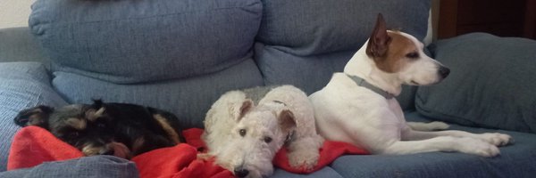 Eivor_vs Profile Banner