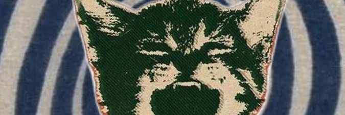 bipupplar disorder🐀 banner