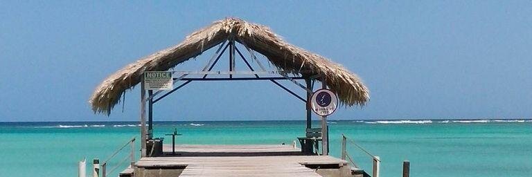 Candace Brathwaite banner