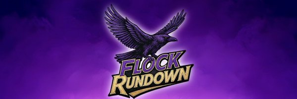 TheFlockRundown Profile Banner