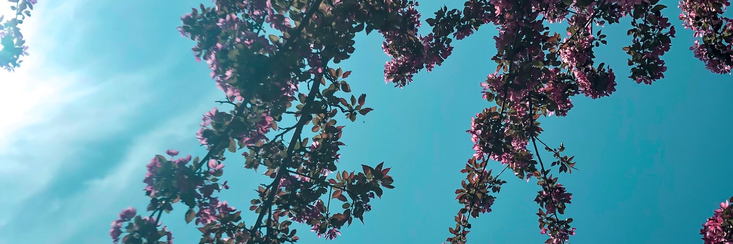 MatteaBethya's profile banner image