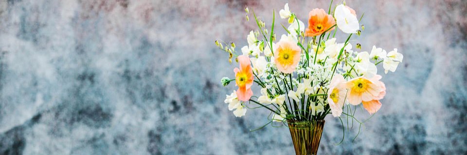 marylovvve's profile banner image