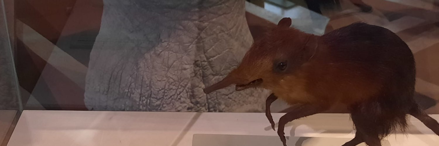 twempa's profile banner image