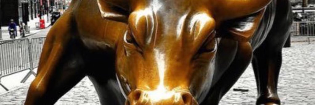 ankitss6695's profile banner image
