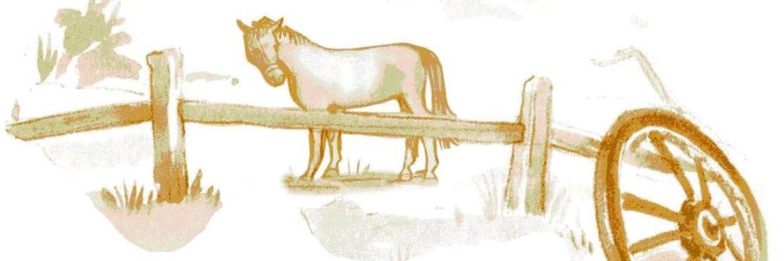 AnimalFeedDiss's profile banner image