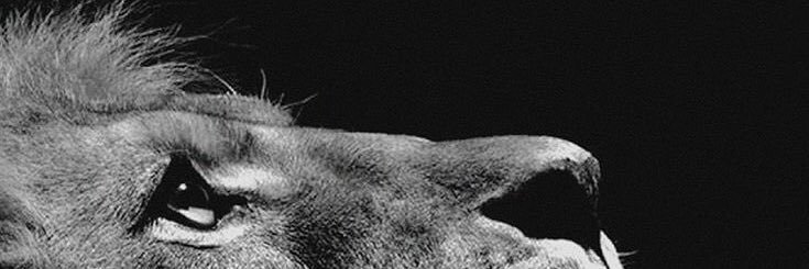 qim_s's profile banner image