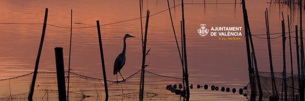 DevesaAlbufera Profile Banner
