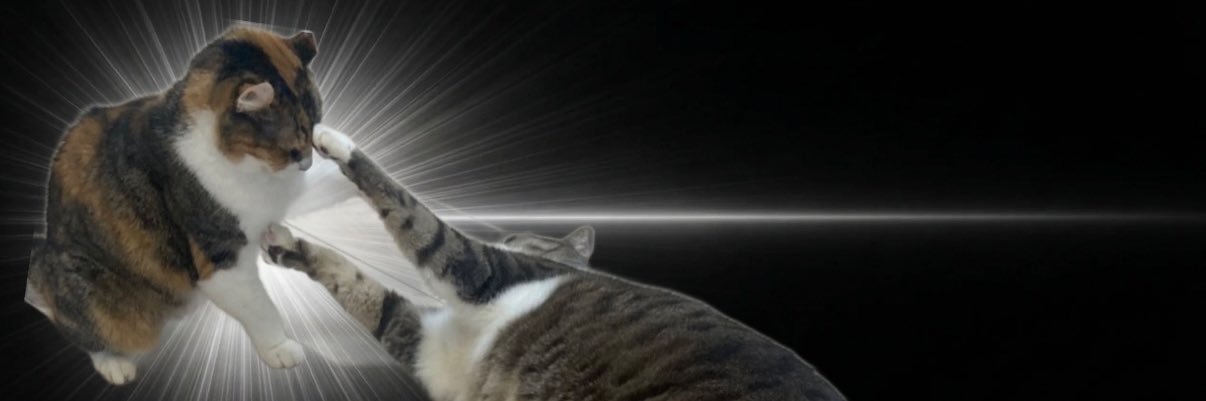 さばじょ banner