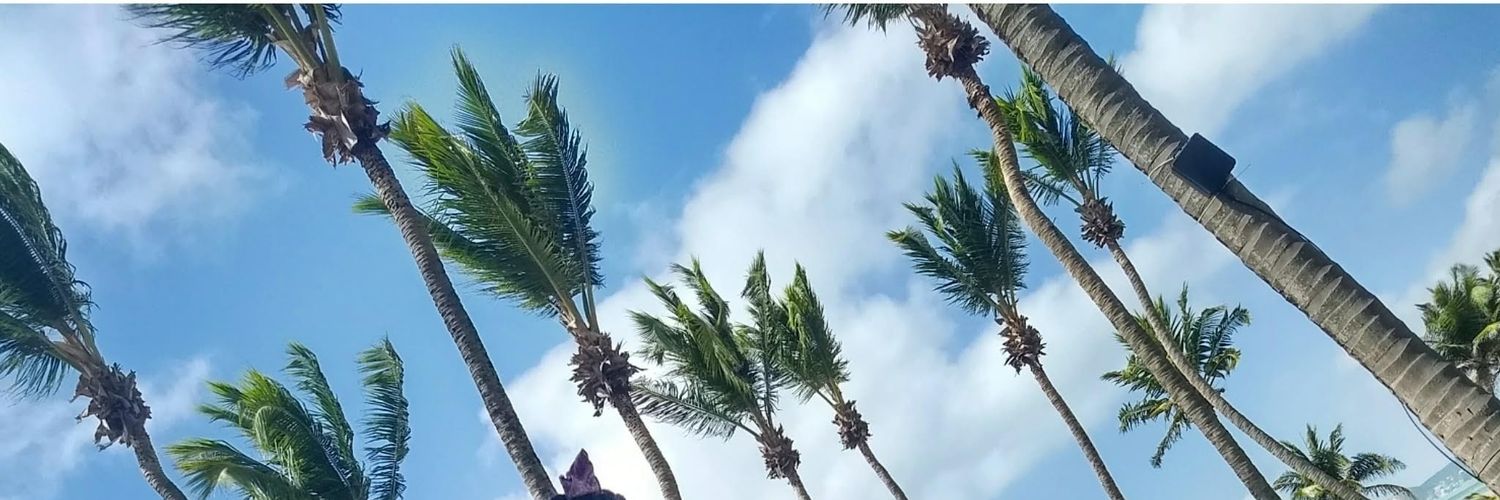 Niicole33's profile banner image