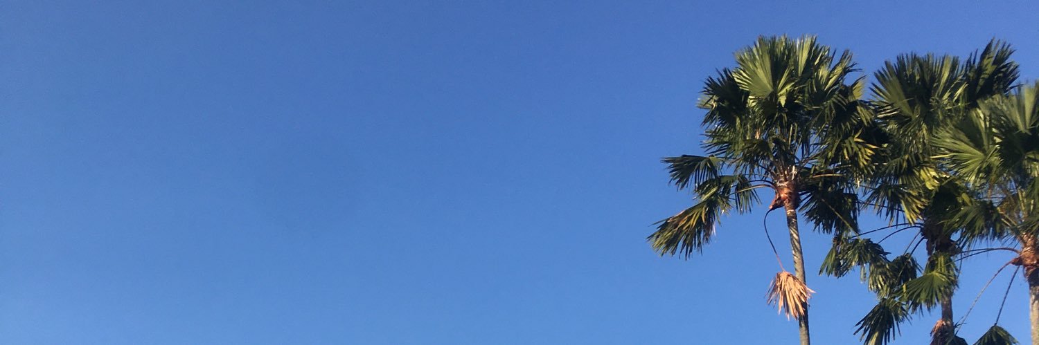 pseudonymstet's profile banner image