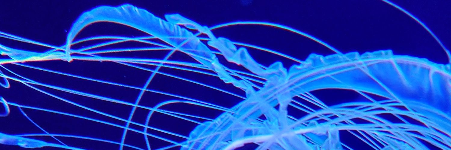 ｲﾁｲ。･*. banner