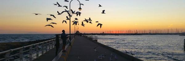 Anna_Cook Profile Banner