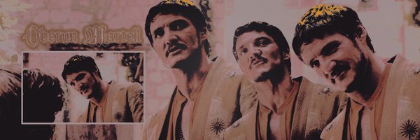martellsviper Profile Banner