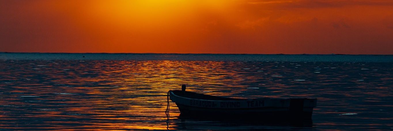 _donloi's profile banner image