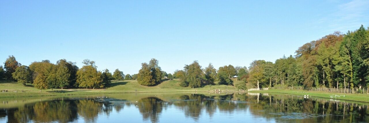 Dr Laura Castells banner