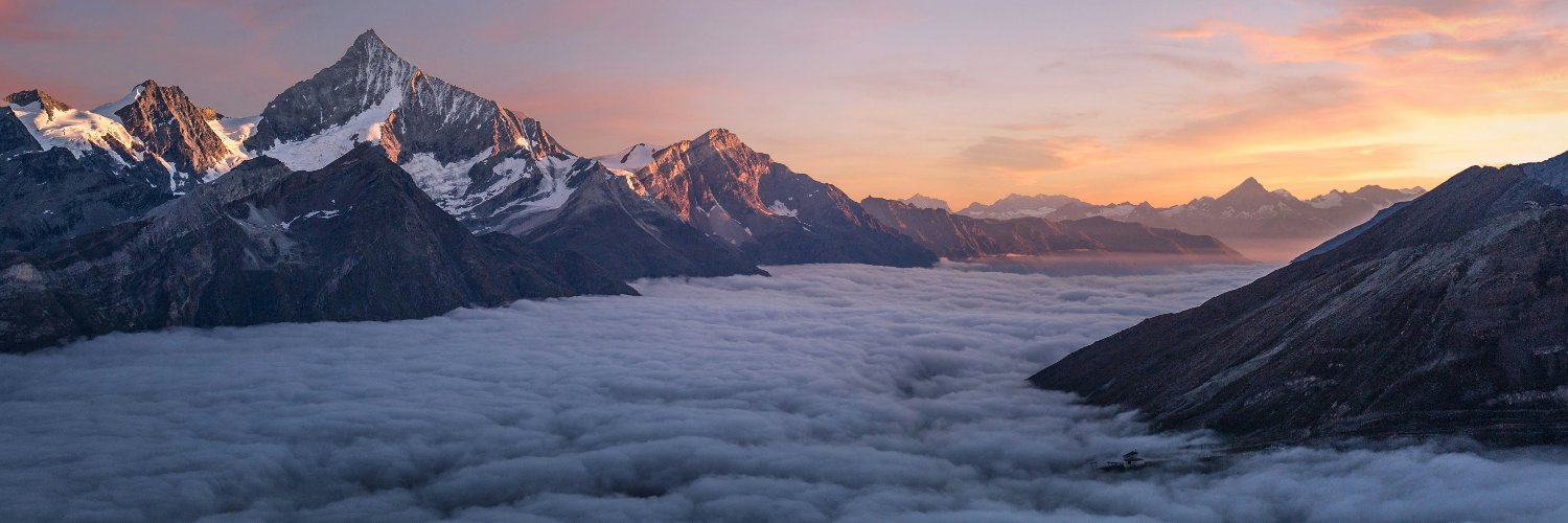 Maus.extended banner