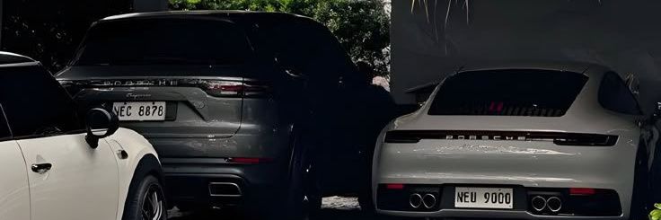 BabypipsGrad8🌐 banner