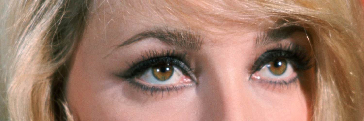 𝘚𝘏𝘈𝘙𝘖𝘕 banner