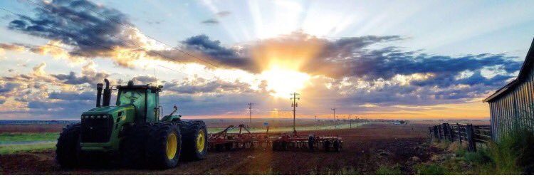 Raedan Sharry banner