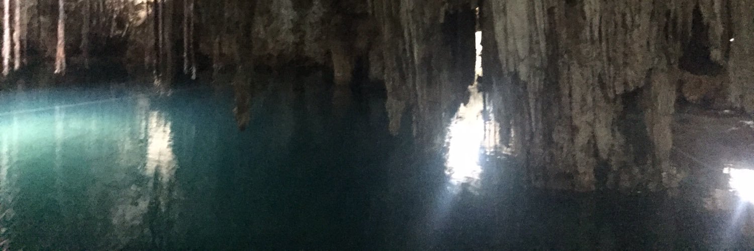 Irene Becerra banner